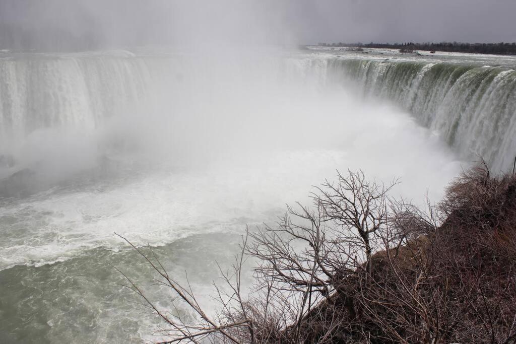 Skyline Park And Walk To The Falls & Wonderful Free Breakfast Deliverd Daily To The Holiday home *